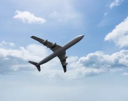 Can I travel with my pet?