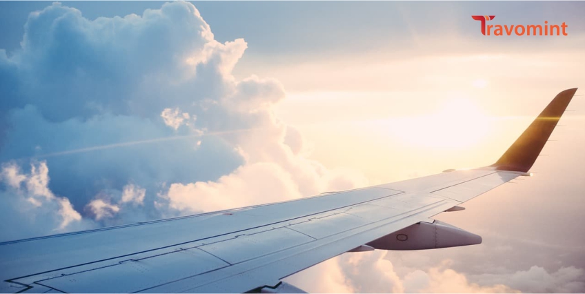 Can I travel with my pet?